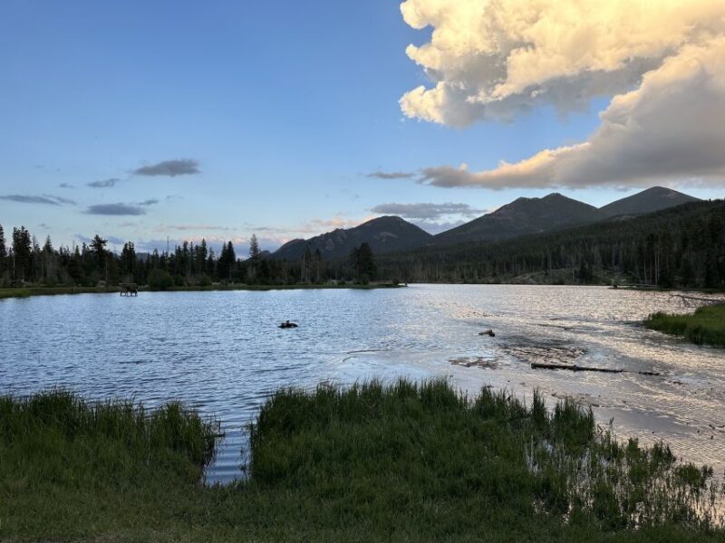 Estes Park: Rocky Mountain National Park Glass-Top Bus Tour - Meeting Point and Booking Tips
