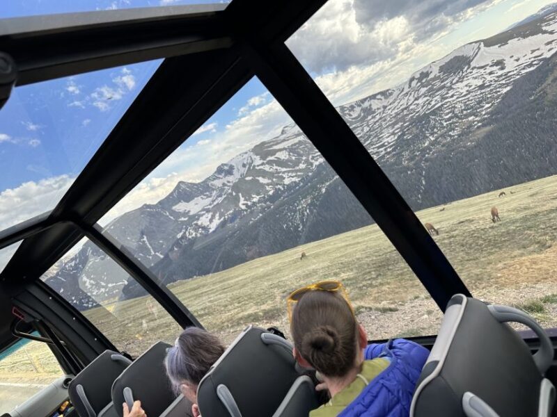 Estes Park: Rocky Mountain National Park Glass-Top Bus Tour - The Sum Up