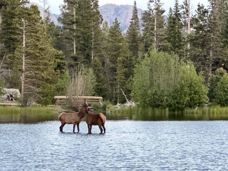 Estes Park: Rocky Mountain National Park Glass-Top Bus Tour - FAQ