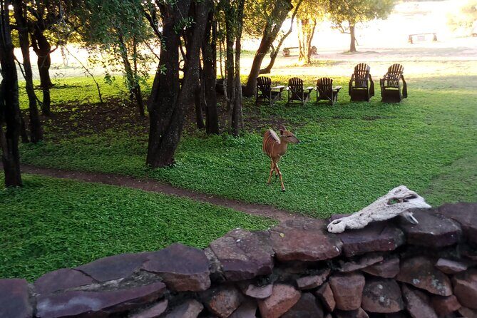 Eswatini full day trip from Maputo - What to Expect: A Day Full of Discoveries