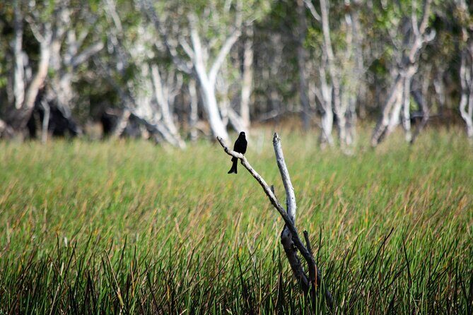 ETHICAL ADVENTURES - 1 Day premium Litchfield tour, small group - An In-Depth Look at the Itinerary