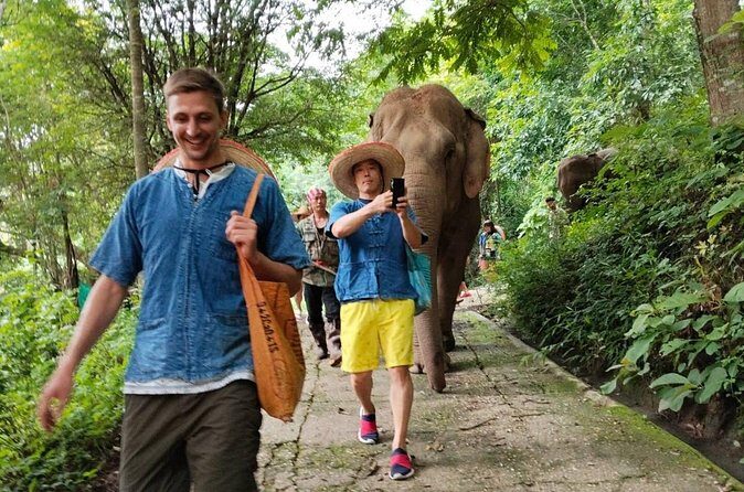 Ethical Elephant Visit and White Water Rafting in Chiang Mai - What Reviewers Are Saying