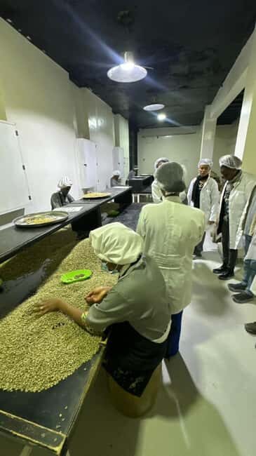 Ethiopia coffee cupping class/Ethiopian food injera making - Coffee Cupping with a Local Expert