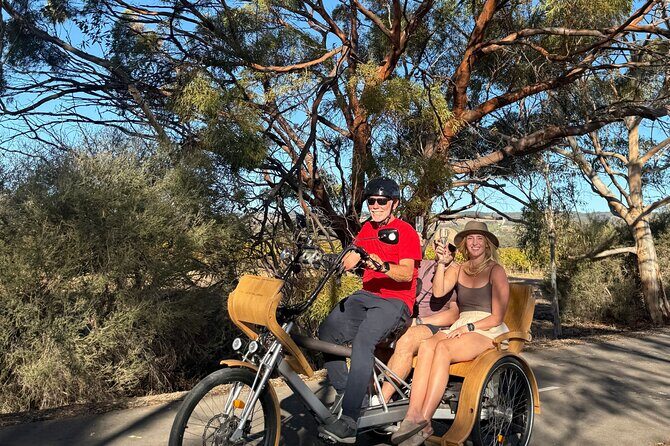 eTukTuk Adventure from Shirvington Wines - McLaren Vale - Final Thoughts: Is It Worth It?