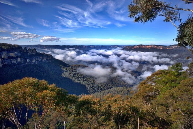 Eungella Platypus Tour - Who Should Consider This Tour?