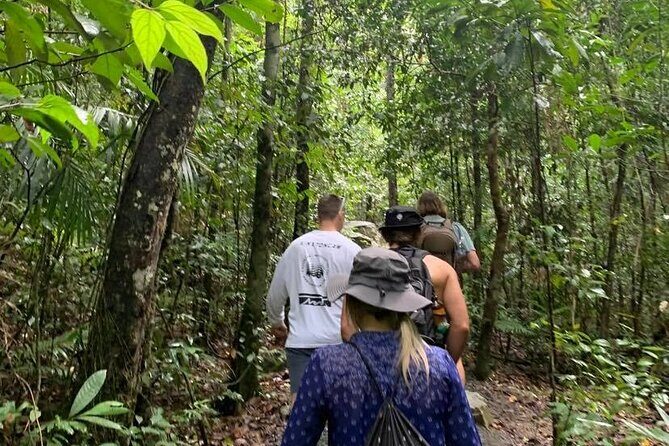 Eungella Platypus Tour - The Sum Up