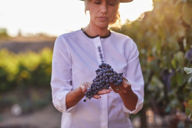Europa Village Winery Tour including 8 Tastings & 3 Food Pairings - Key Points