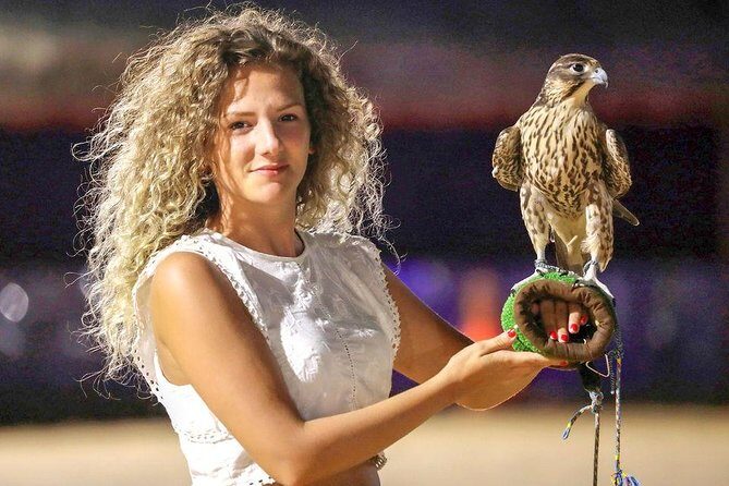 Evening Abu Dhabi Desert Safari & BBQ Dinner- Standard Tour - The Itinerary: What You Can Expect