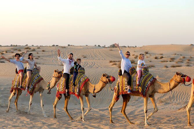 Evening Camel Caravan, Bedouin Dinner with Al Marmoom Oasis - Why This Tour Offers Great Value