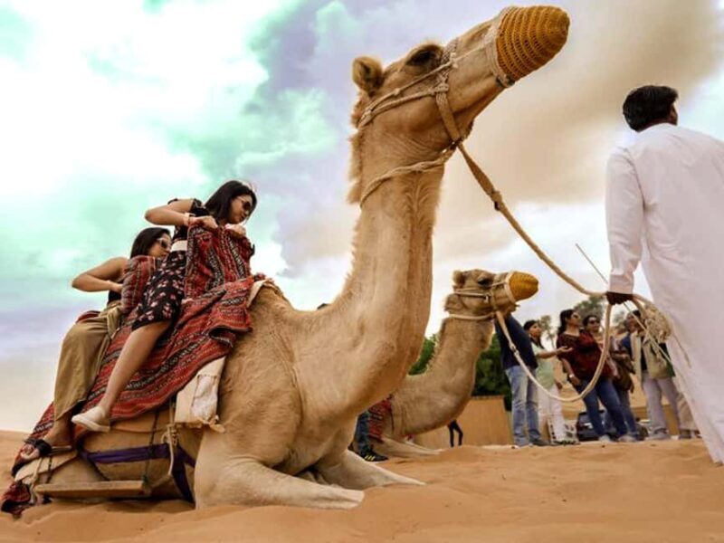 Evening Desert Dune Bashing by 4*4 Vehicle - Who Is This Tour Best Suited For?