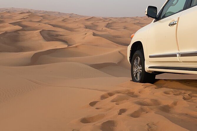 Evening Desert Safari - Why You’ll Love This Desert Safari