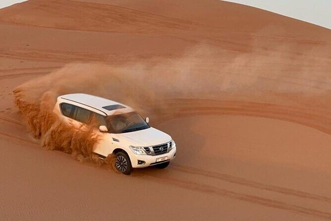 Evening Desert Safari Camel Ride Live Shows Shisha Dinner - Why This Tour Offers Good Value