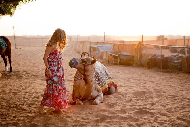 Evening Desert Safari Dubai with BBQ Dinner (Pick Up By Bus) - Key Points