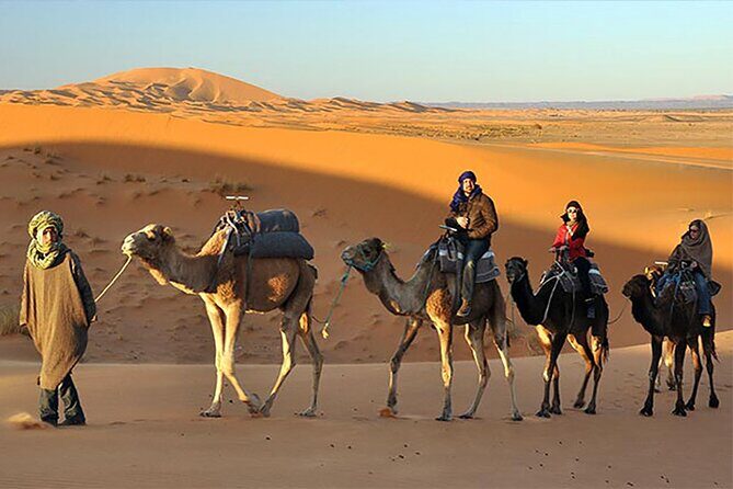 Evening Desert Safari Dubai with Belly Dance & BBQ Dinner - Evaluating the Value