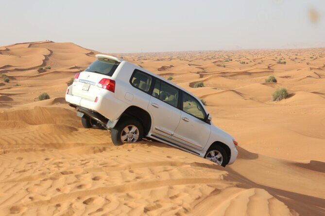 Evening Desert Safari Tour With Dinner & Entertainment - Who Should Consider This Tour?