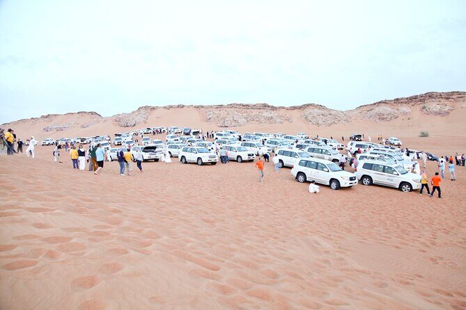 Evening Desert Safari Tour With Live Enterterment And BBQ Dinner - A Practical Guide to the Evening Desert Safari Experience