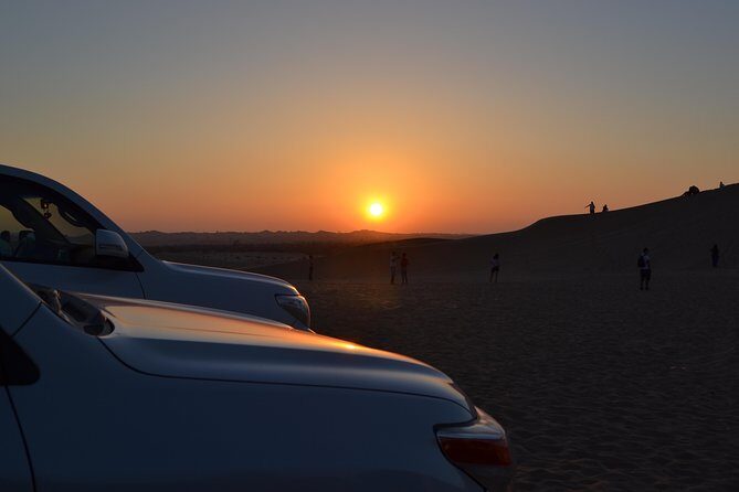 Evening Desert Safari Tours - Who Will Love This Tour?