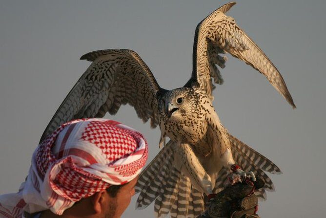 Evening Desert Safari with BBQ Dinner - What the Tour Offers: An In-Depth Look