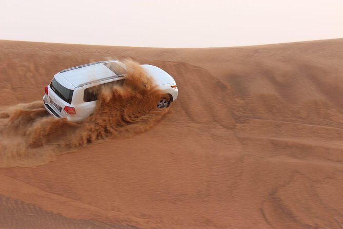 Evening Desert Safari with BBQ Dinner - Who Should Consider This Tour?
