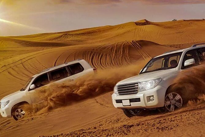 Evening Desert Safari with Bbq Dinner and Entertainment - The Sum Up: Who Will Love This Tour?