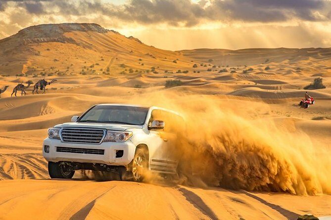 Evening Desert Safari with BBQ Dinner & self-drive Quad biking - Who Should Consider This Tour?