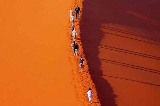 Evening Desert Safari with Belly Dance and BBQ Dinner and Camel Ride - The Sum Up: Who Is This Tour Best For?