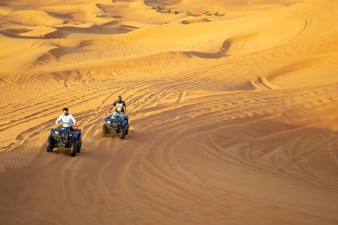 Evening Desert Safari with Quad Bike, BBQ Dinner and Camel Ride - An In-Depth Look at the Experience