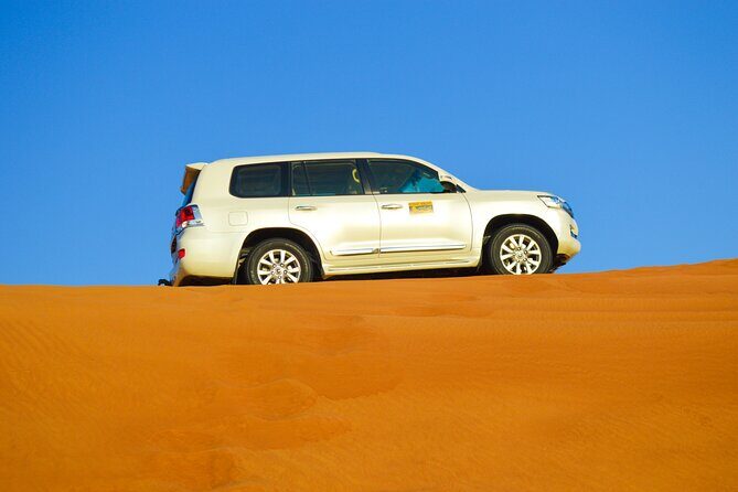 Evening Desert Safari with Quad Bike, BBQ Dinner and Camel Ride - Who Should Consider This Tour?