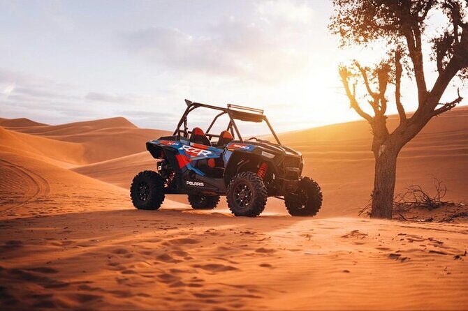Evening Dubai Desert Safari, Red Sand, Premium camp shows & Diner - Price and Value Analysis