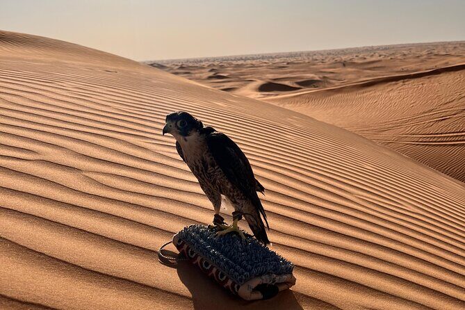 Evening Dubai Desert Safari, Red Sand, Premium camp shows & Diner - FAQ