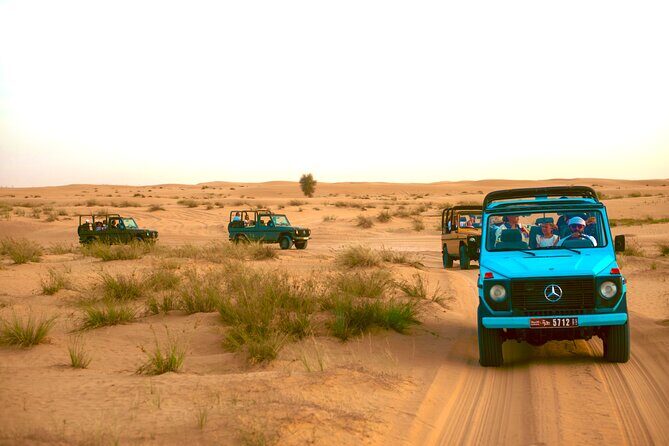 Evening Heritage Safari by Vintage G-Class at Al Marmoom Oasis - Key Points