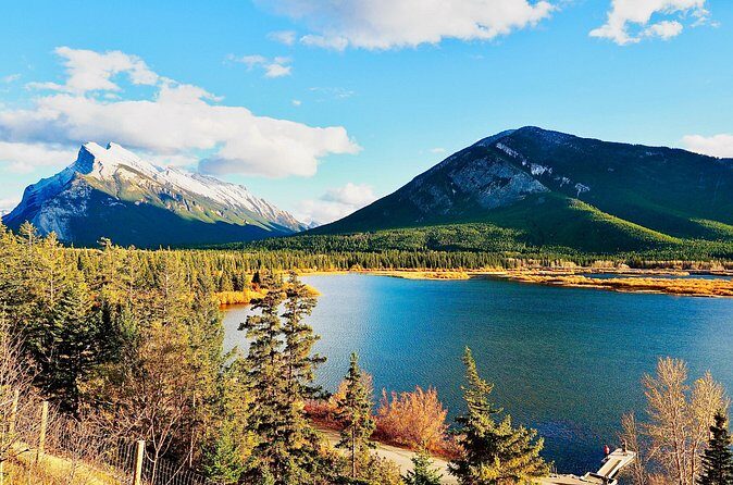 Evening Private Tour Best of Banff Wildlife - The Sum Up