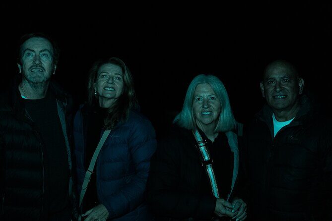 Evening Rainforest & Glow Worm Tour from Gold Coast - Value and Practical Aspects