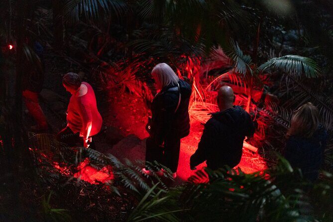 Evening Rainforest & Glow Worm Tour from Gold Coast - The Sum Up: Who Will Love This Tour?