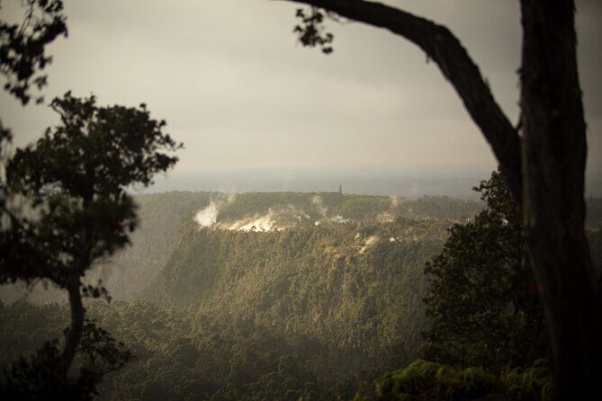 Evening Volcano Explorer Tour from Kona - The Experience: Guides, Meals, and Group Dynamics