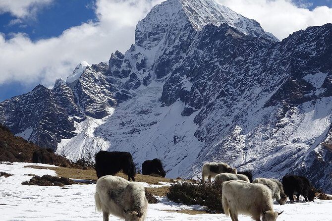Everest Base Camp Helicopter Tour - Price and Value: Is It Worth It?