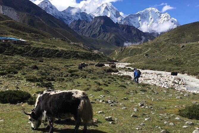 Everest Base Camp Helicopter Tour landing at Everest View Hotel - FAQ