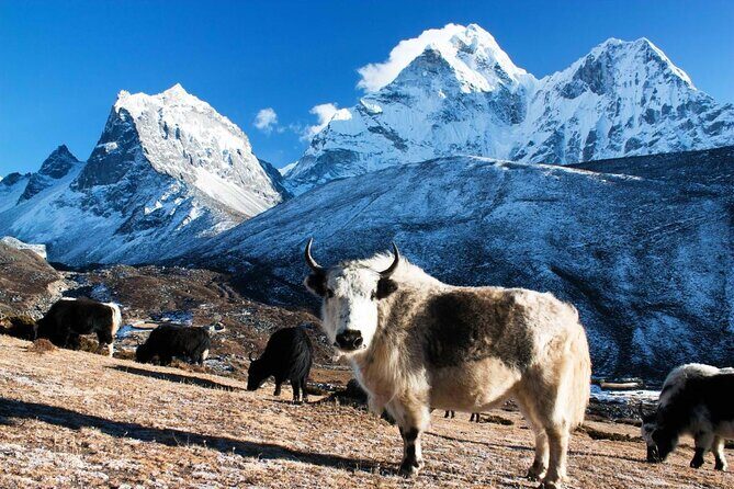 Everest Base Camp Helicopter Tour Stop at Hotel Everest View. - Key Points