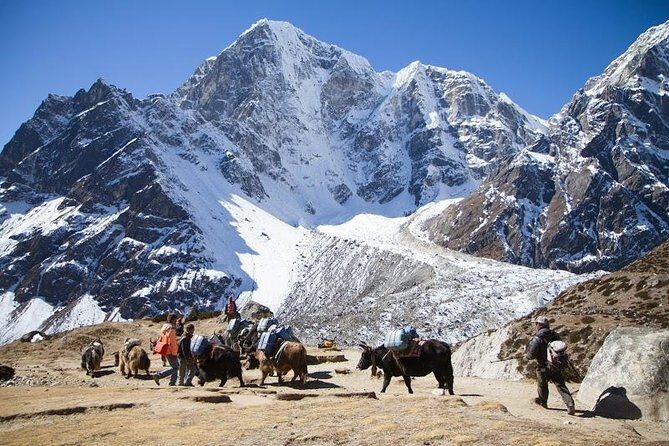 Everest Base Camp Trek with Helicopter Return to Lukla - 10 Days - Key Points