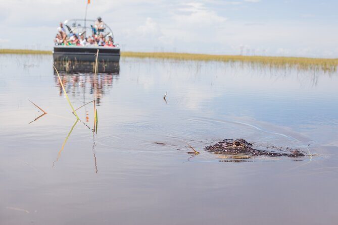 Everglades Admission Ticket with Airboat Ride and Wildlife Show - What You Can Expect from the Tour