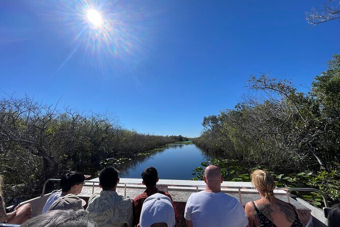 Everglades Airboat, Wildlife Show and free Photo - A Practical Guide to the Everglades Airboat Tour