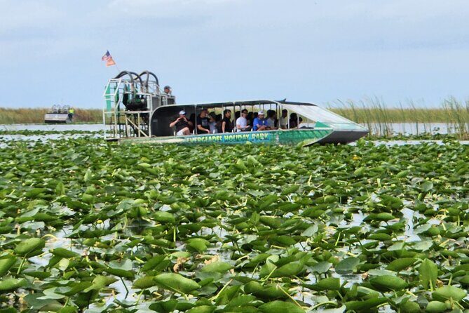 Everglades Alligator Airboat Tour with Bus transfer from Miami - An Overview of the Tour Experience