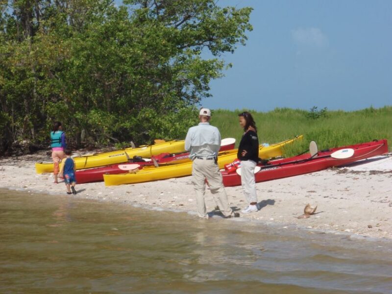 Everglades: Boat Assisted Kayak Eco Tour - Wildlife Encounters and the Environment