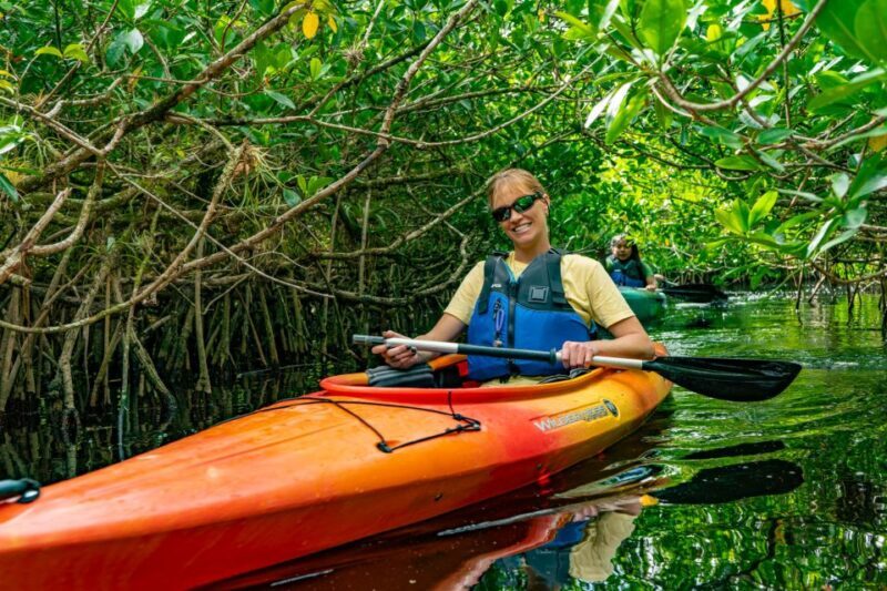 Everglades City: Guided Kayaking Tour and Airboat Ride - A Detailed Look at the Experience