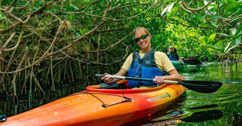 Everglades City: Guided Kayaking Tour and Airboat Ride - Authentic Experiences Pointed Out by Travelers