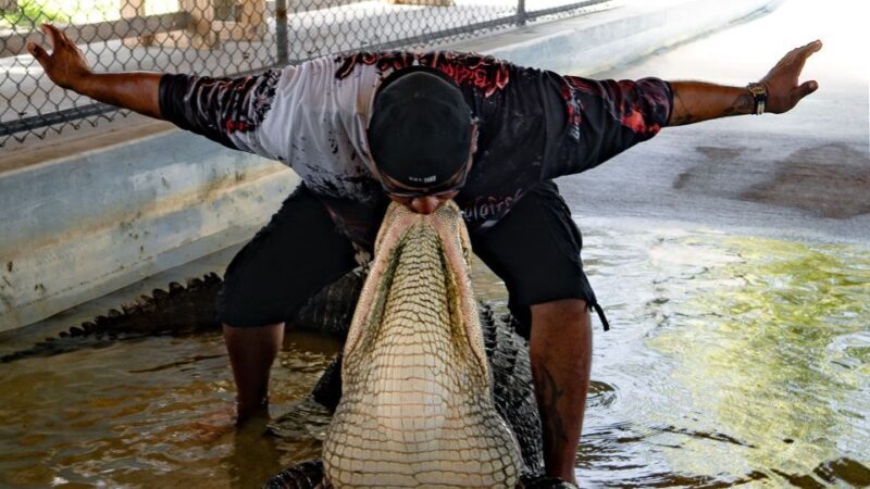 Everglades City: Guided Kayaking Tour and Airboat Ride - FAQ