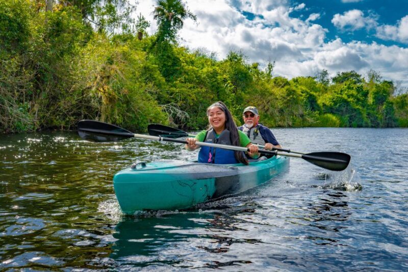 Everglades City: Guided Kayaking Tour of the Wetlands - Wildlife and Ecosystem Insights