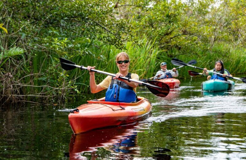 Everglades City: Guided Kayaking Tour of the Wetlands - Who Will Love This Tour?