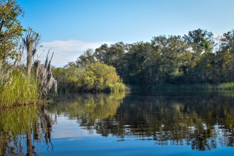 Everglades City: Guided Kayaking Tour of the Wetlands - Final Reflections