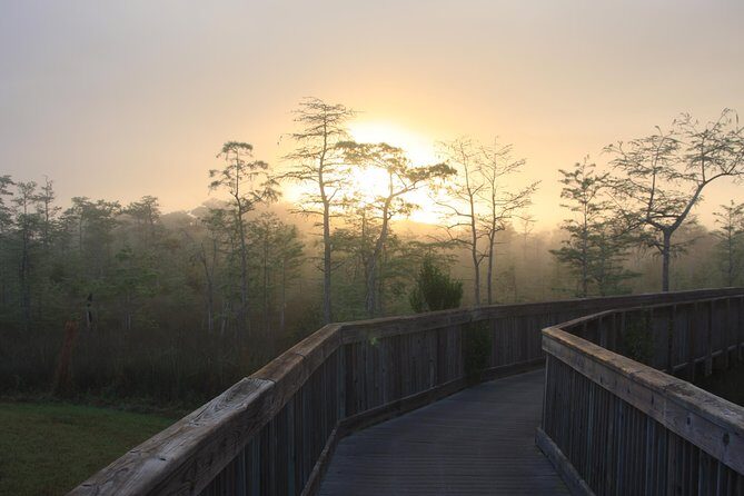 Everglades Day Safari from Fort Myers/Naples Area - Final Thoughts